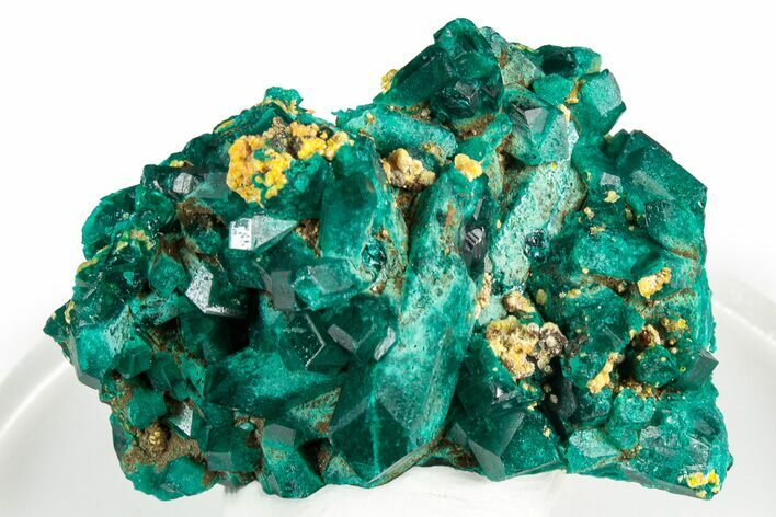 Gemmy Dioptase Crystal Cluster - Congo #346121